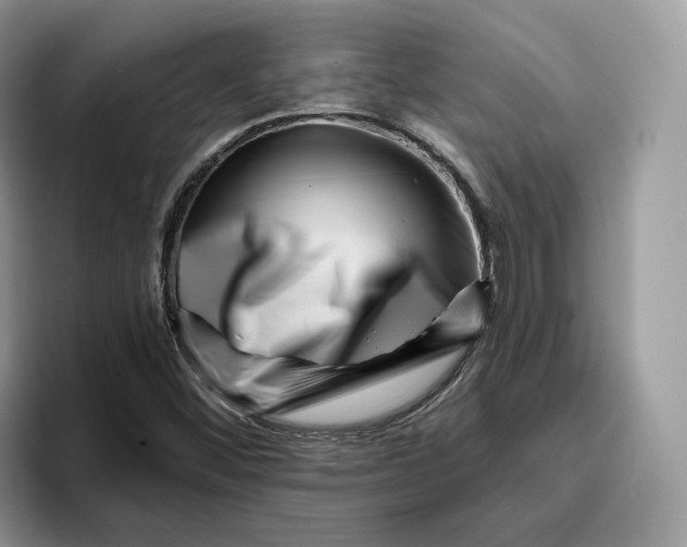 X0000095961452200802011112