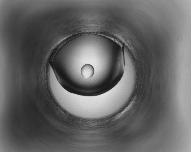 X0000095961453200802011112