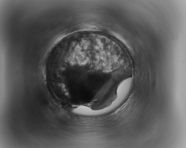 X0000095961455200802011112