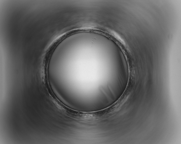 X0000095961456200802011112