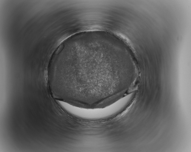 X0000095961457200802011112