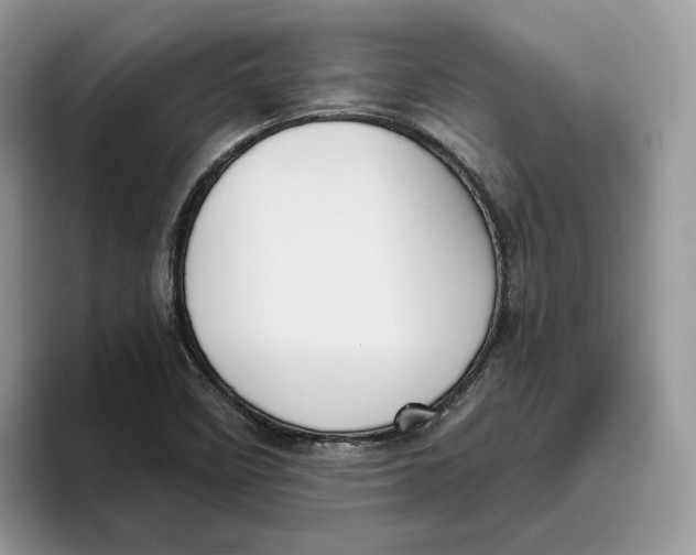 X0000095961458200802011112