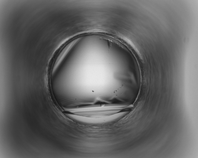 X0000095961460200802011112