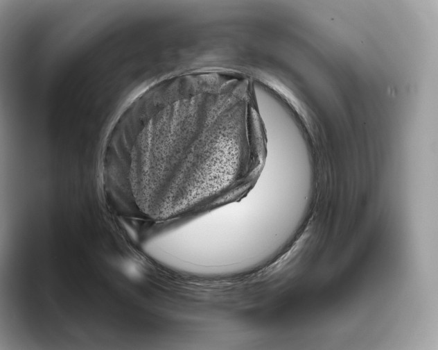 X0000095961461200802011112