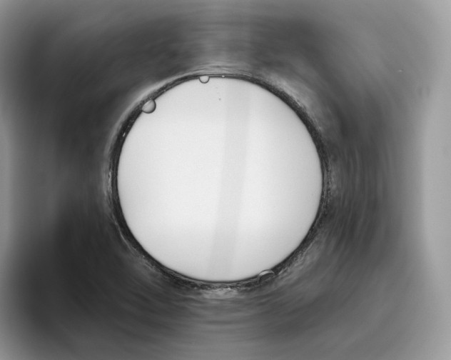 X0000095961462200802011112