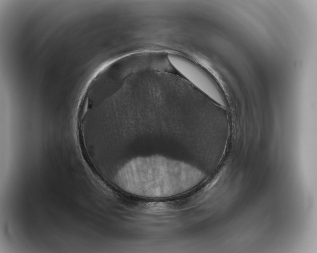 X0000095961463200802011112