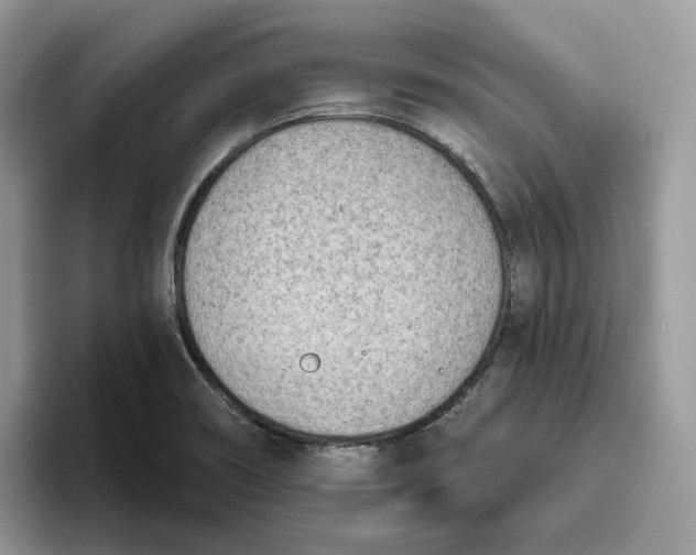 X0000095961466200802011112