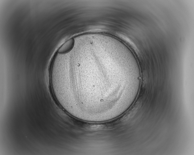 X0000095961467200802011112