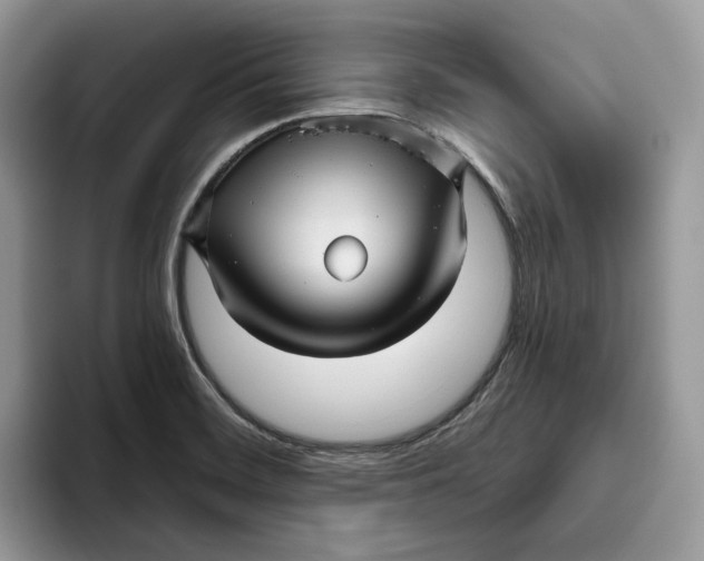 X0000095961468200802011112