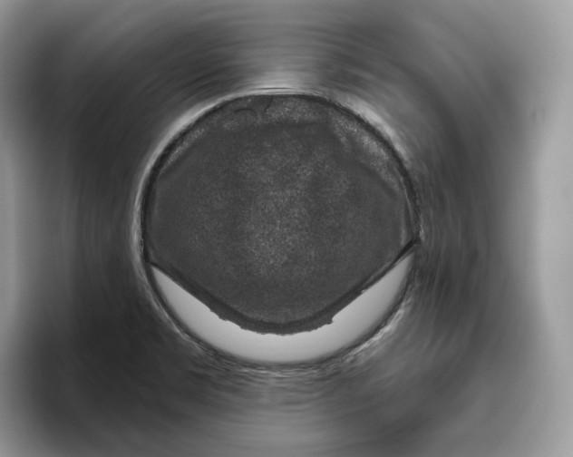 X0000095961469200802011112