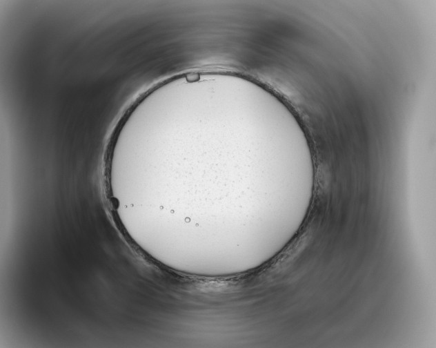 X0000095961470200802011112