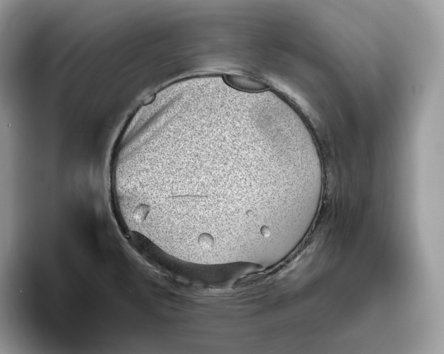 X0000095961471200802011112