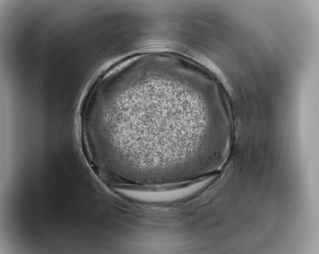 X0000095961472200802011112