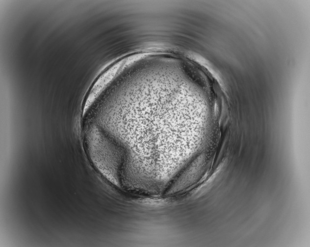 X0000095961473200802011112