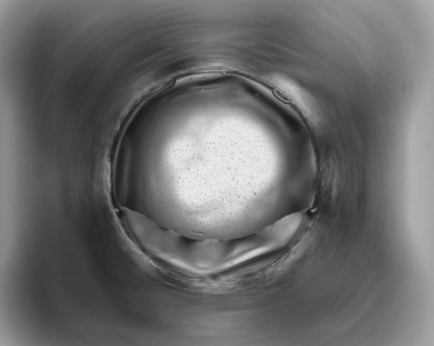 X0000095961476200802011112