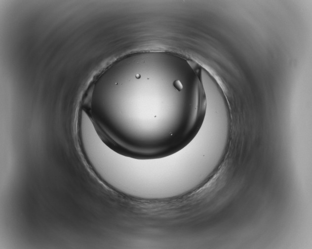 X0000095961477200802011112