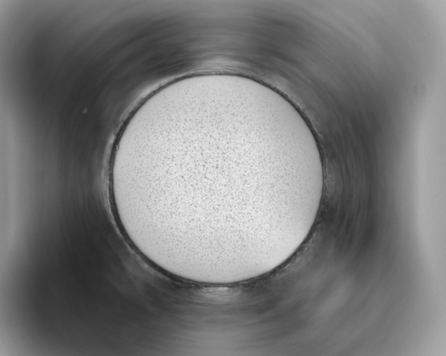 X0000095961478200802011112