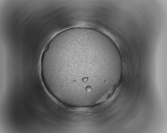 X0000095961479200802011112