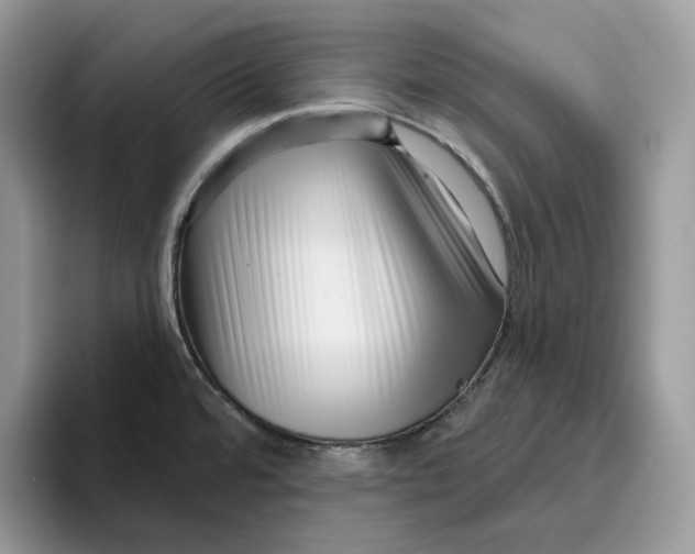 X0000095961480200802011112