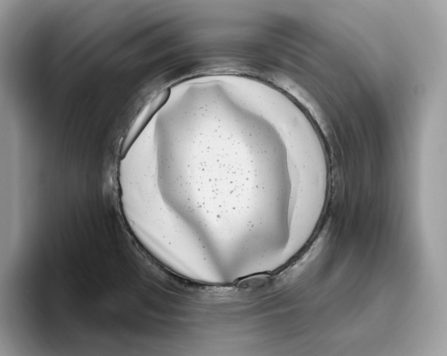 X0000095961481200802011112