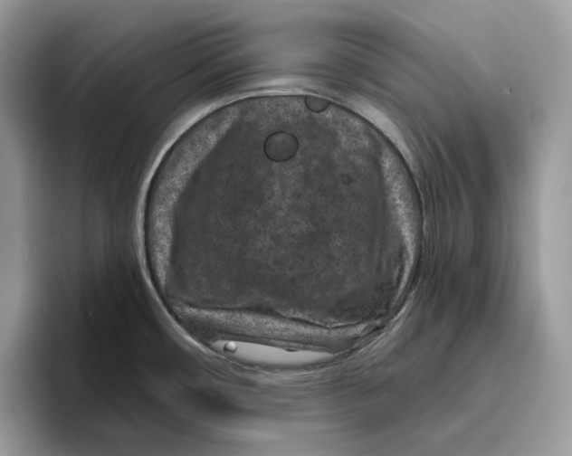 X0000095961482200802011112