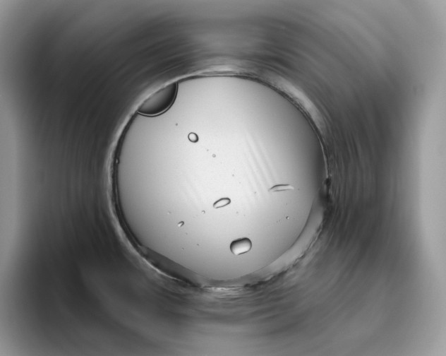 X0000095961483200802011112