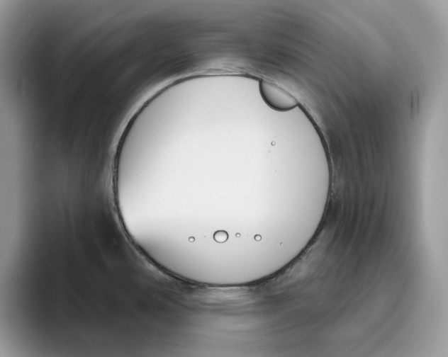 X0000095961486200802011112