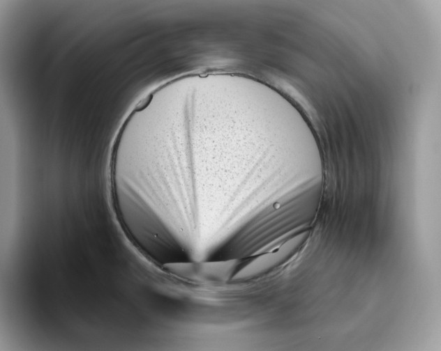 X0000095961487200802011112