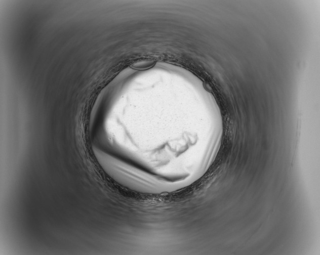 X0000095961489200802011111