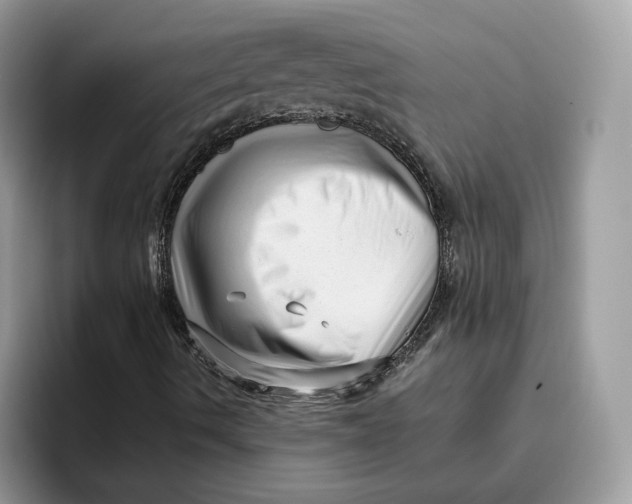 X0000095961490200802011111