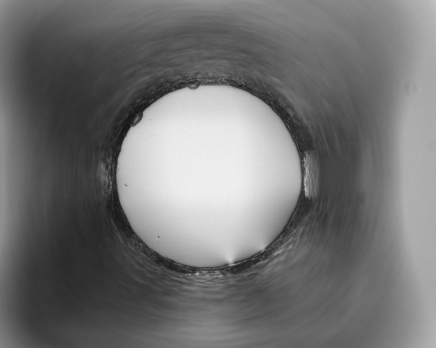 X0000095961491200802011111