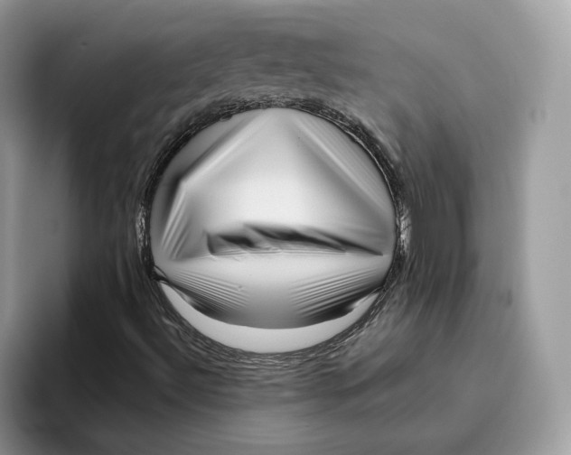 X0000095961492200802011111