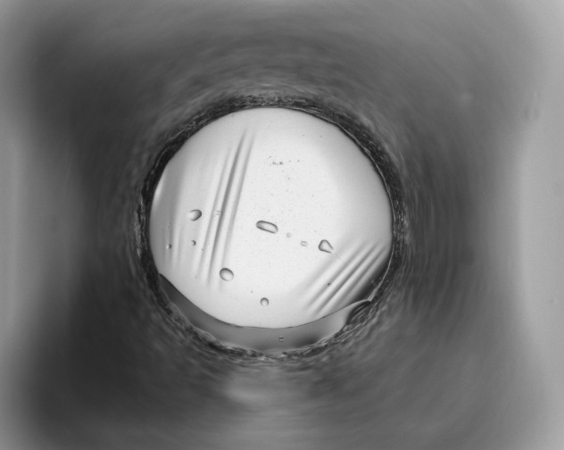 X0000095961493200802011111