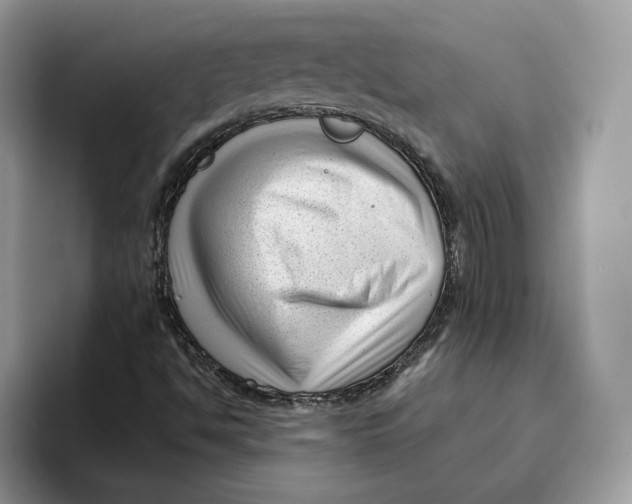 X0000095961494200802011111