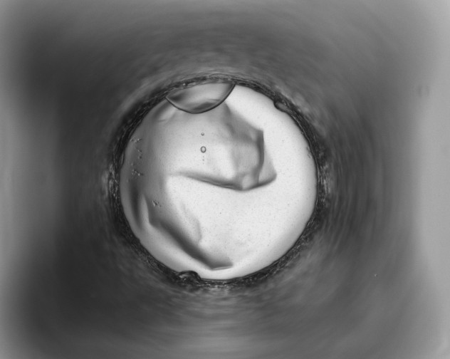 X0000095961495200802011111