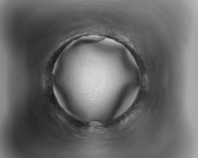 X0000095961496200802011111