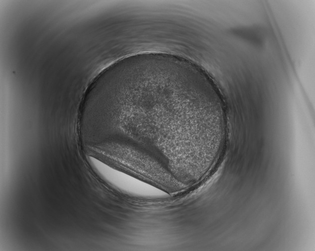 X0000095961497200802011111