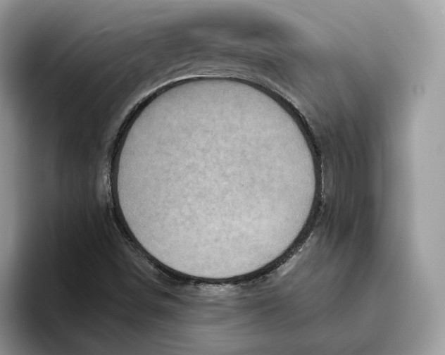 X0000095961498200802011111