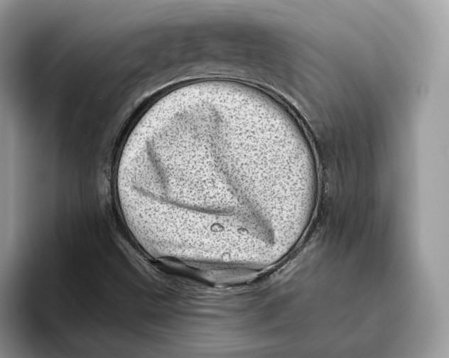 X0000095961499200802011111