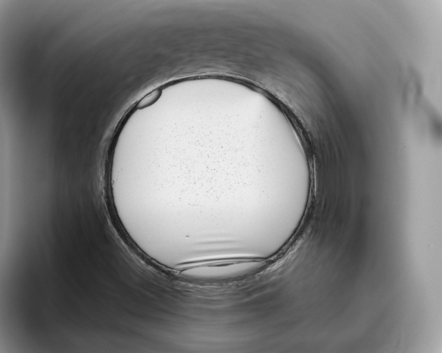 X0000095961500200802011111