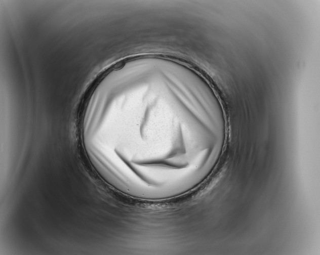 X0000095961501200802011111