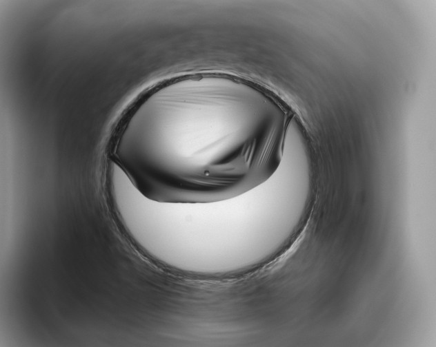 X0000095961502200802011111