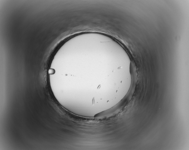 X0000095961503200802011111