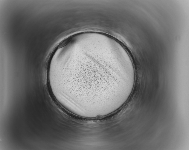 X0000095961504200802011111