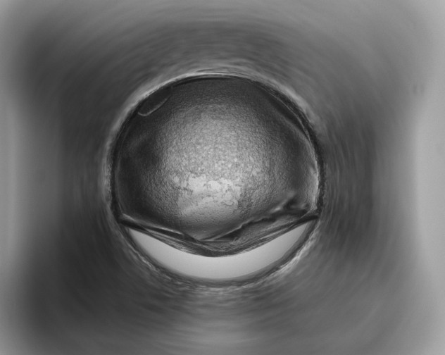 X0000095961506200802011111