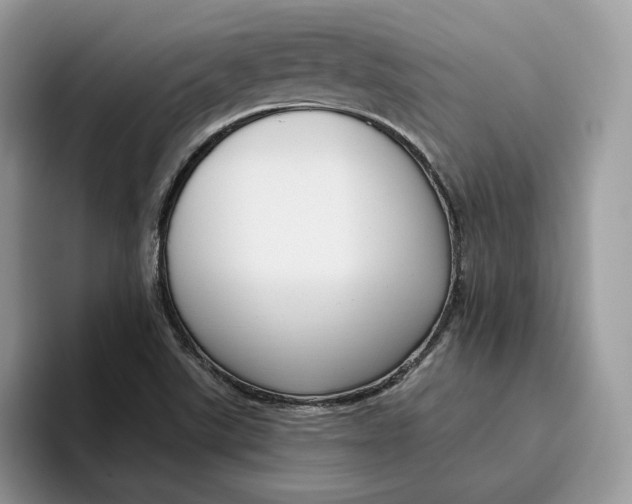 X0000095961507200802011111