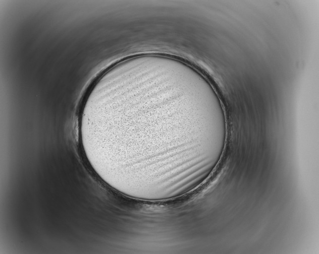 X0000095961509200802011111