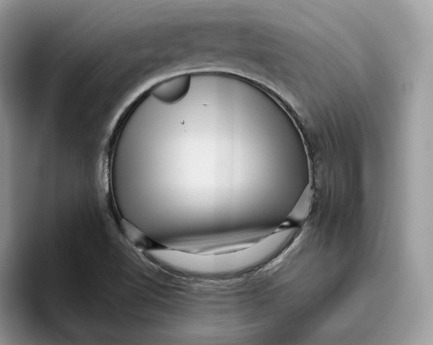 X0000095961510200802011111