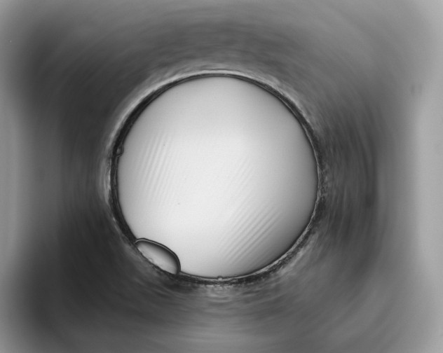 X0000095961511200802011111