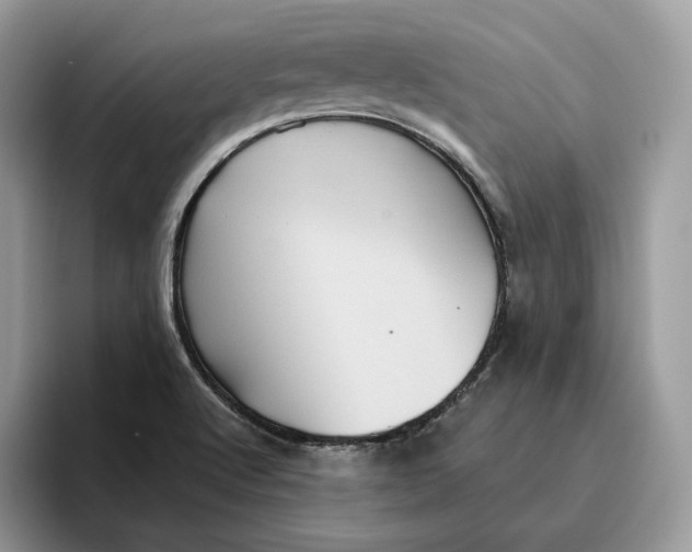 X0000095961512200802011111